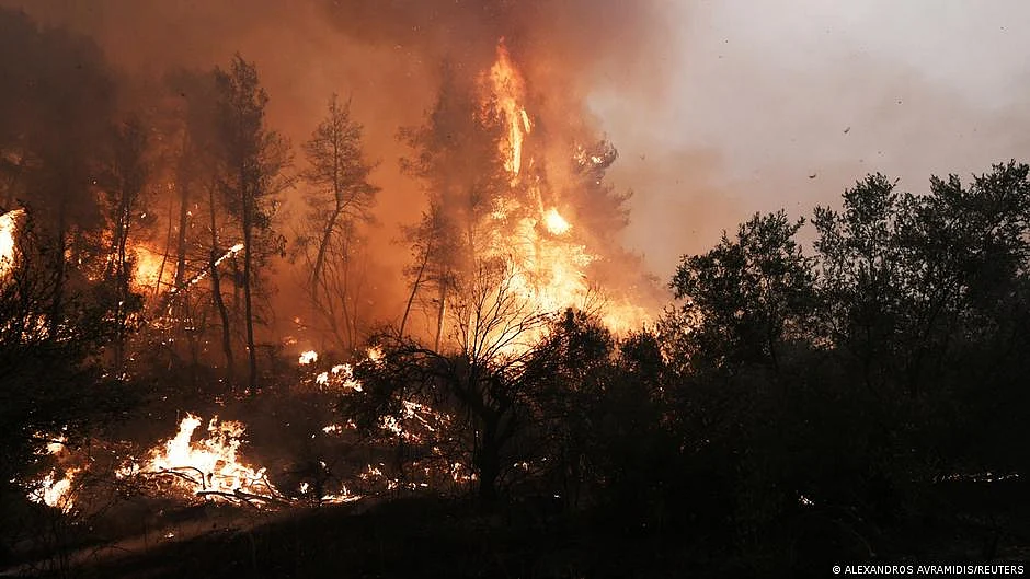 Wildfires, noise pollution, disruptive timing of life cycles looming threats: UN report