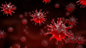 India reports 3,805 new COVID-19 cases