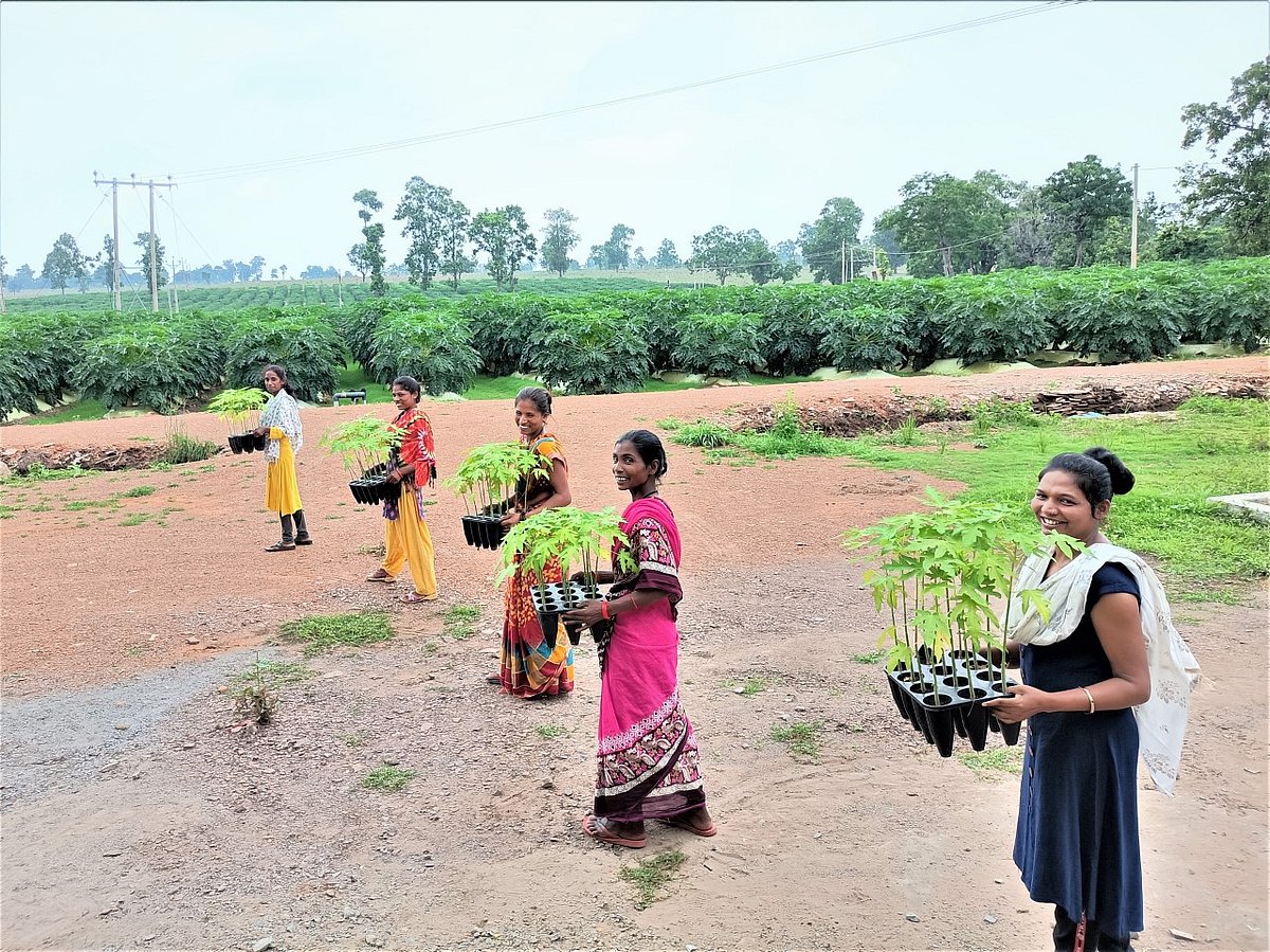Women's self help group of Chhattisgarh gets lauded at Fresh India Show 2021