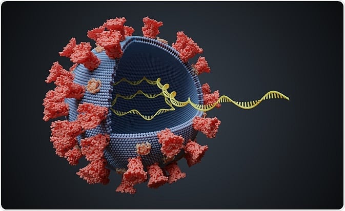 66 Delta plus patients found in Maharashtra so far; 5 of them dead