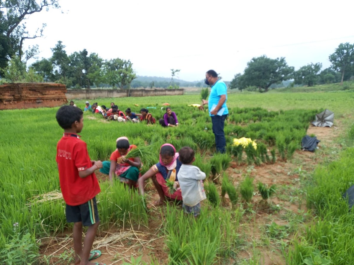 233 Chhattisgarh Tribal villages 100% covered with first Covid jab: Report