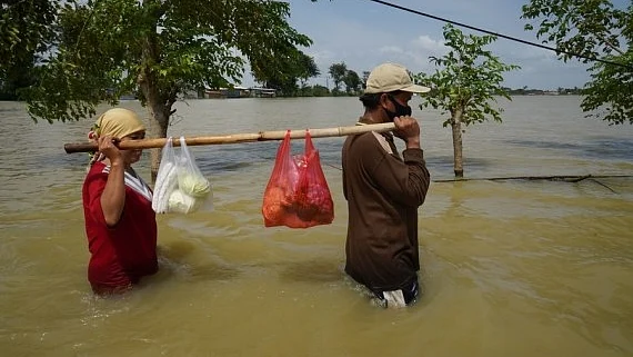 Representative image