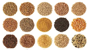 Food Katha: A for Agriculture, A for Ann