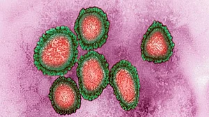 New tool predicts changes that may make COVID variants more infectious