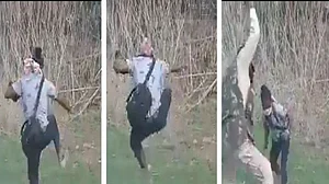 Photo Courtesy: Social Media