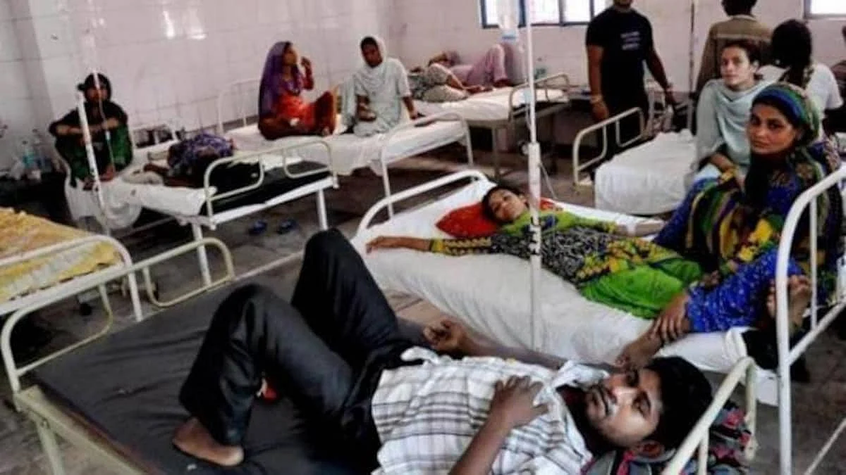 Death toll due to dengue climbs to 50 in UP's Firozabad: Official