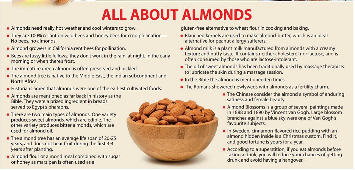 Food Katha: If winter comes, can almonds be far behind?
