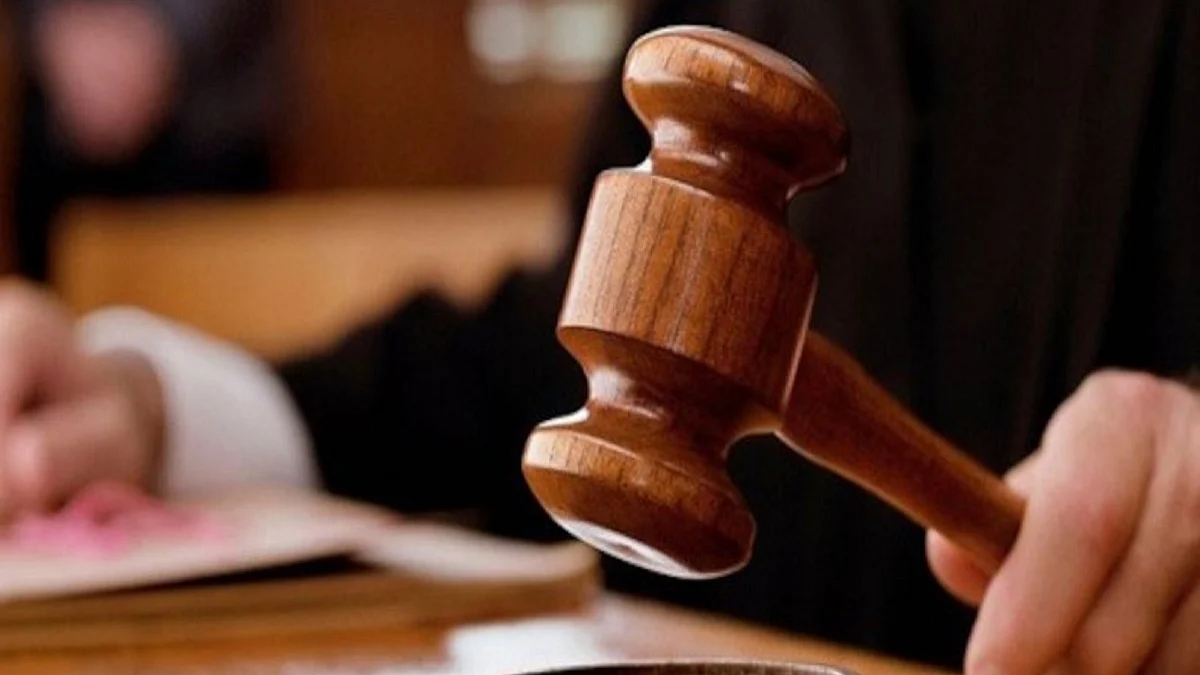 Delhi court junks plea against DU principal for casteist remarks, says case filed to settle personal vindicta"