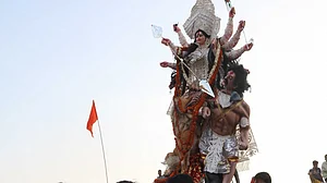 Durga Puja idol immersion prohibited in Yamuna, other water bodies: DPCC