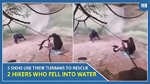 Viral Video: 5 Sikhs Use Their Turbans to Rescue 2 Hikers Who Fell Into Waterfall Pool | Watch