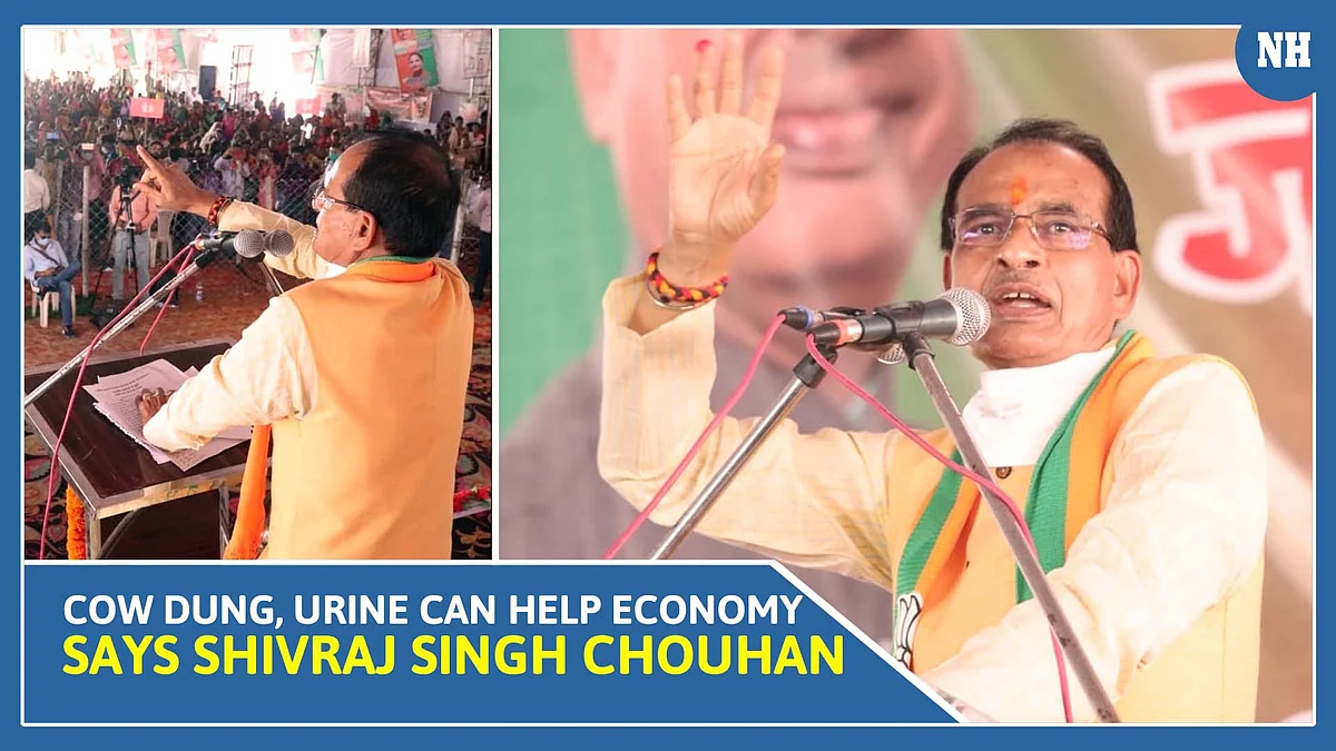 Cow Dung, Urine Can Help Economy, Says MP CM Shivraj Singh Chouhan; Twitterati express shock