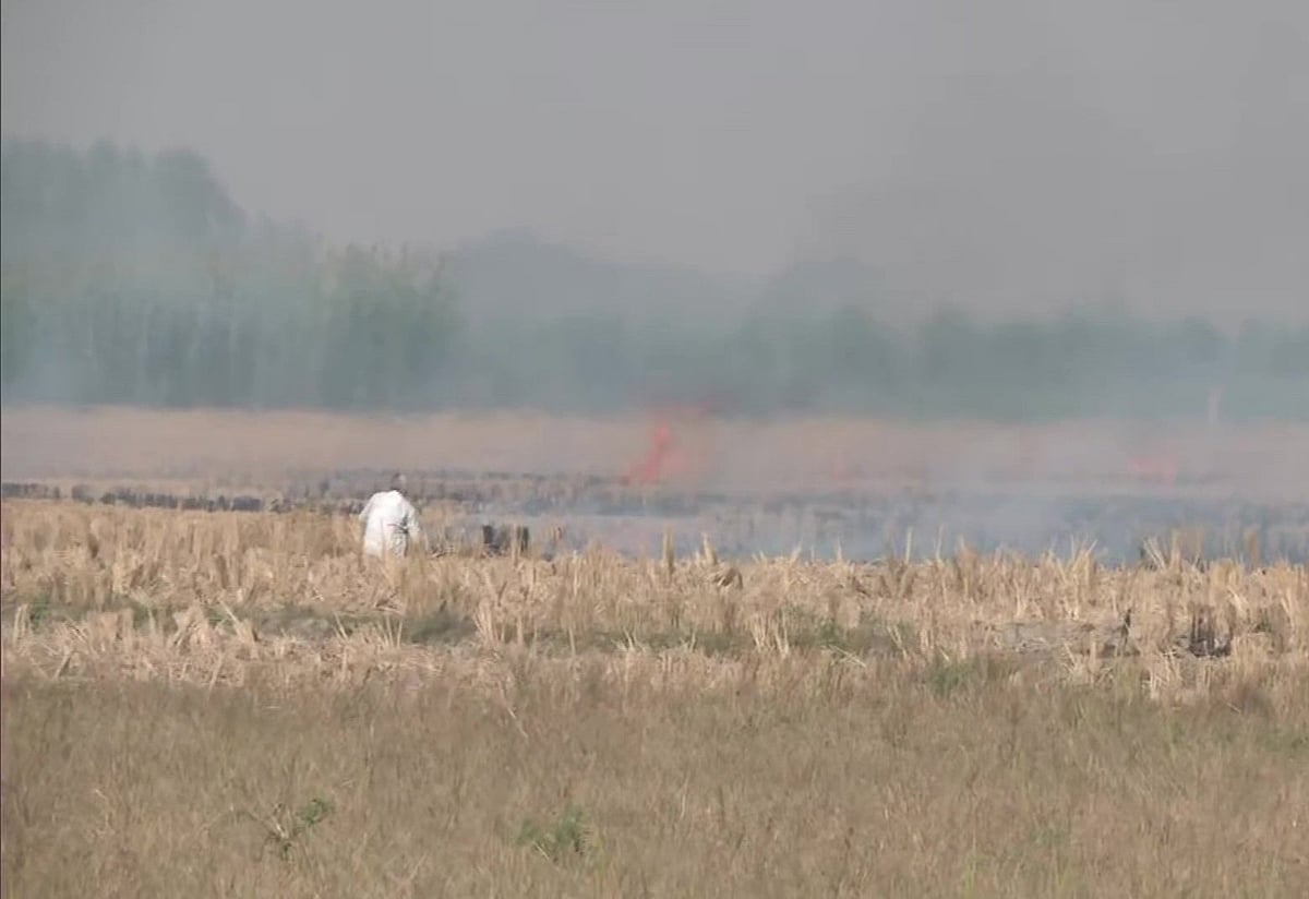 Punjab to have bio-fuel projects to prevent stubble burning