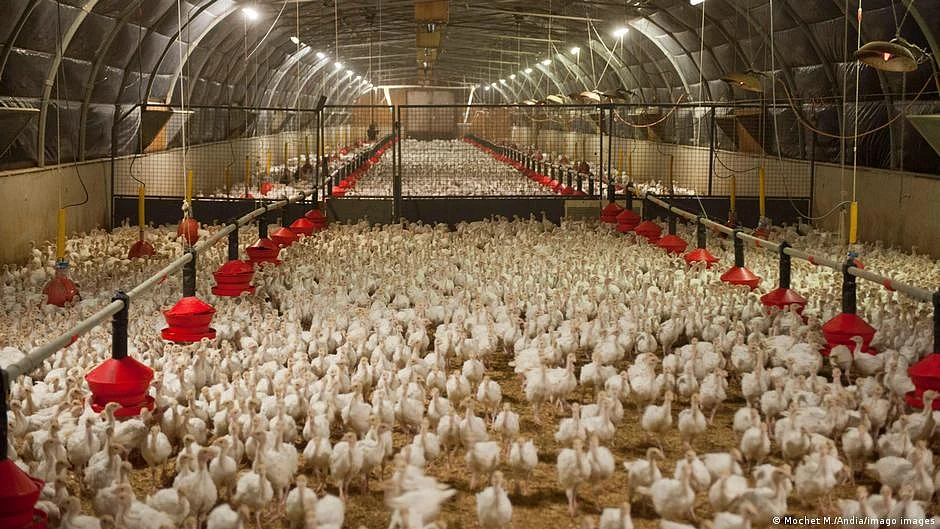 Representative image