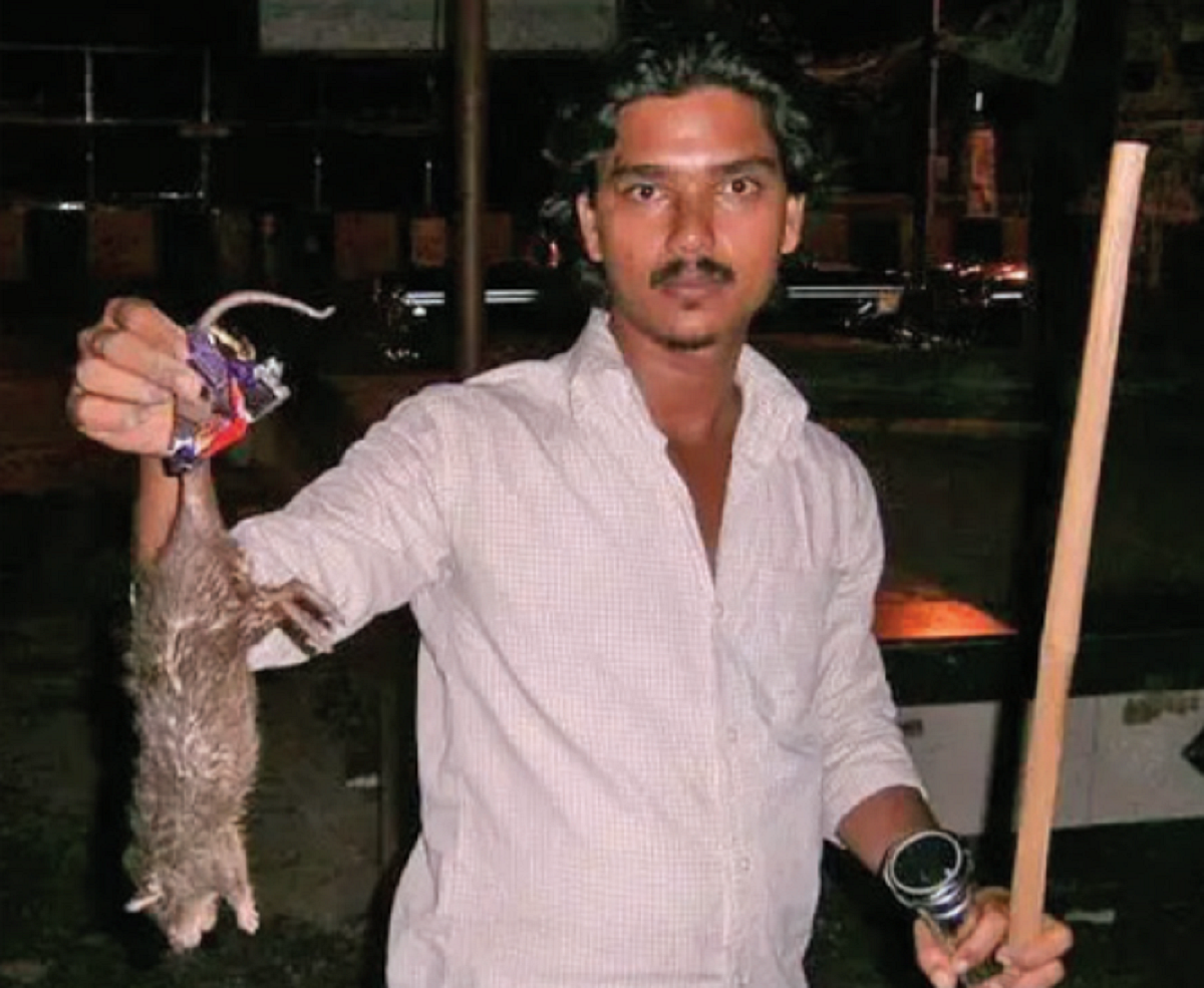 Mumbai’s losing battle with rats