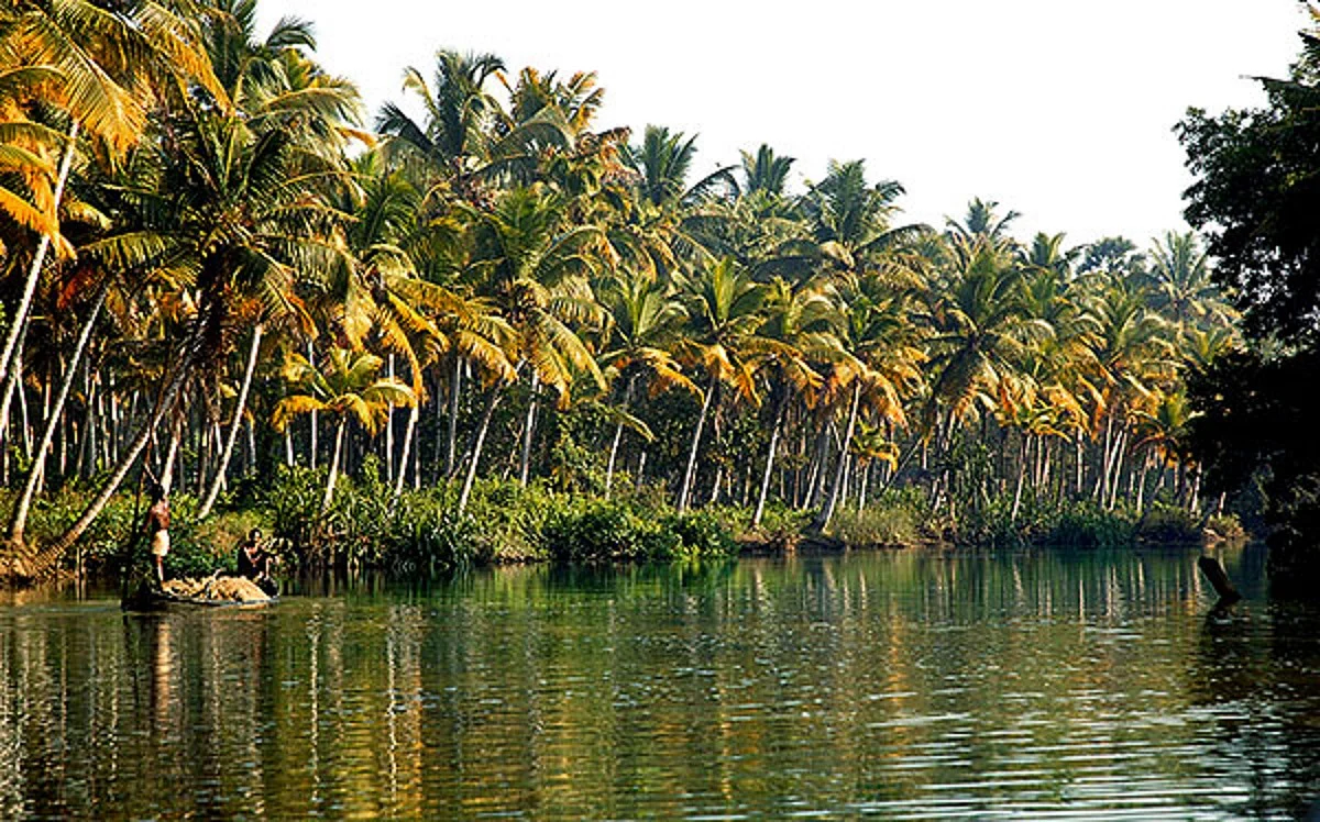 Travel: The Great Malabar Squirrel