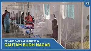 Dengue cases at highest in Gautam Buddh Nagar district