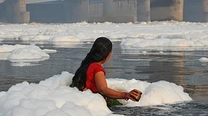 Both BJP and AAP to blame for hazardous pollution levels in Yamuna, which gets highlighted only during Chhath