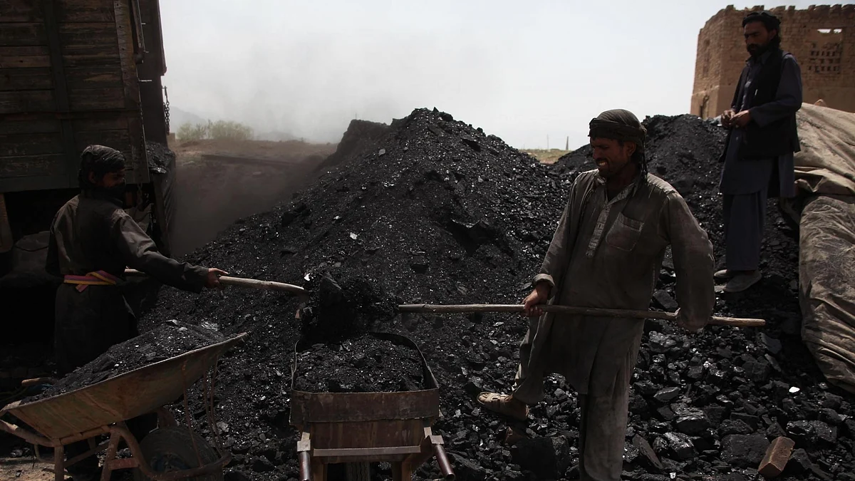 Over 13mn dependent on coal economy in India: Study