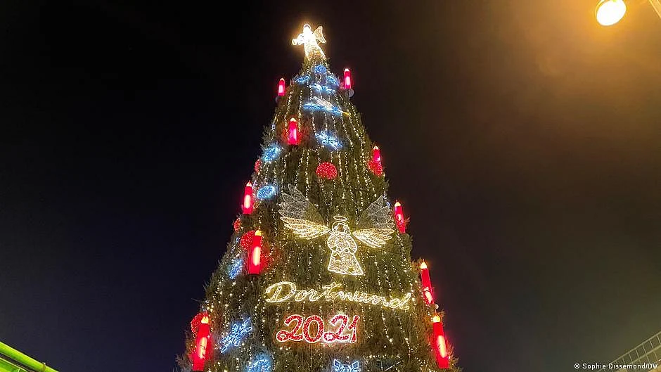 Representative image of a Christmas tree (photo: DW)