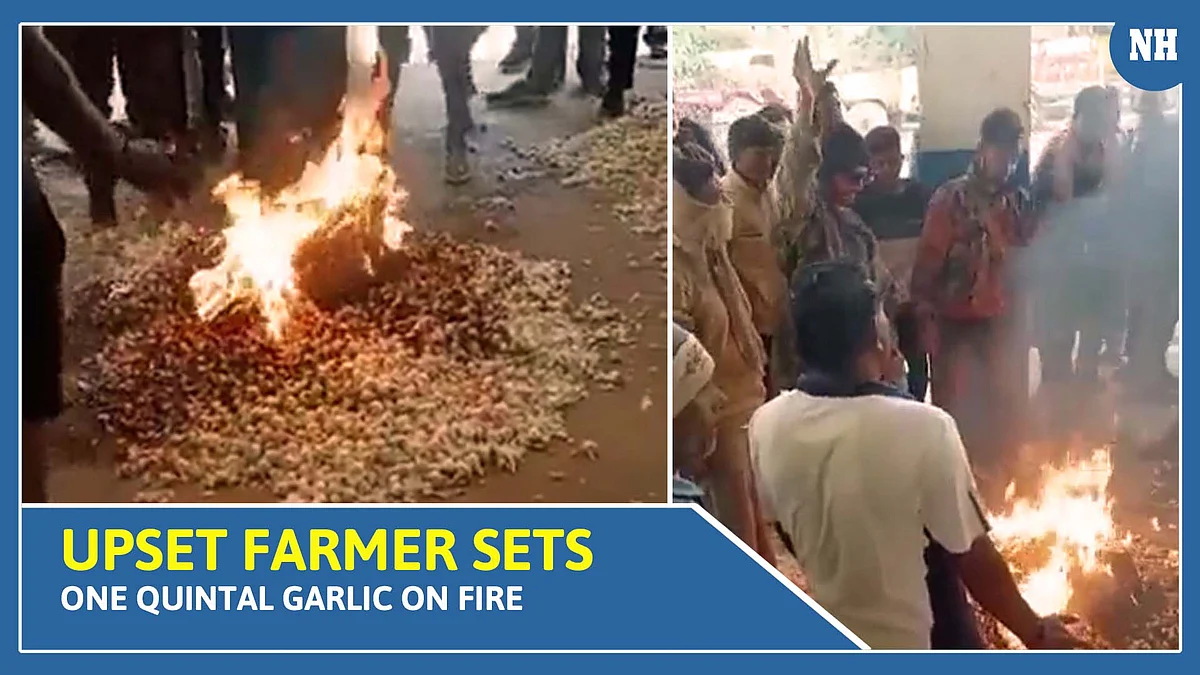 Upset farmer sets one quintal garlic on fire
