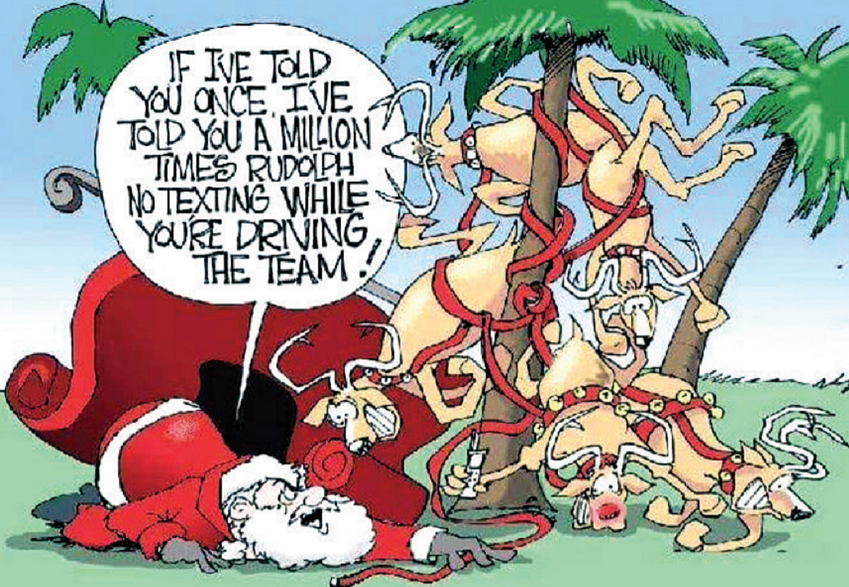 The twists and turns in Goa