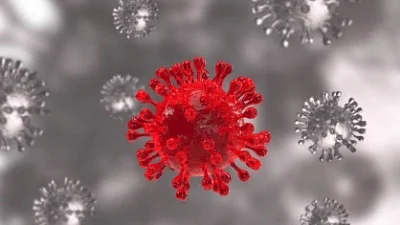 Chandigarh reports first Omicron case