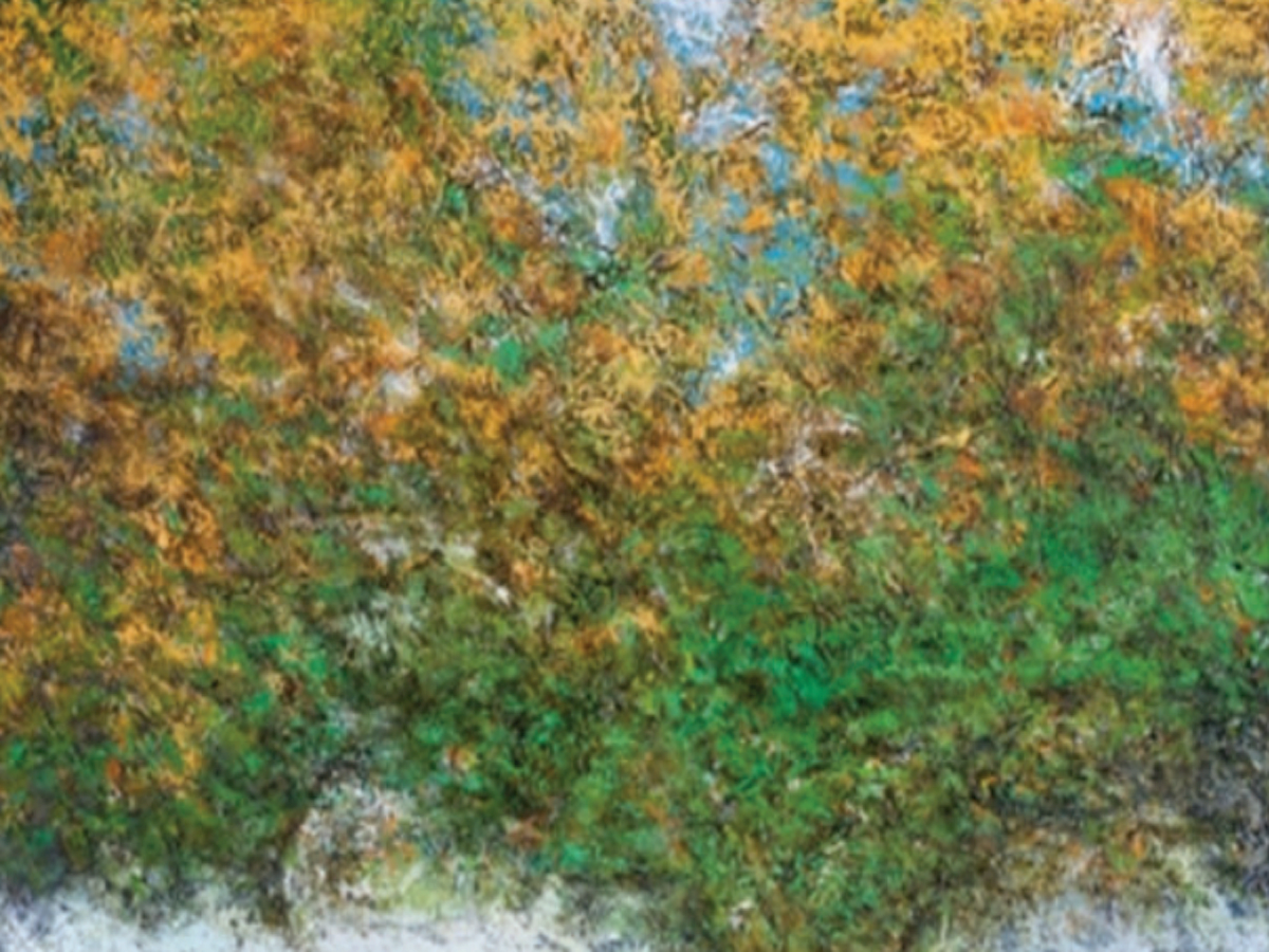 'Touched by the Sun': Veteran artist Paramjit Singh's work leaves you with a tender illusion of space