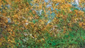 'Touched by the Sun': Veteran artist Paramjit Singh's work leaves you with a tender illusion of space