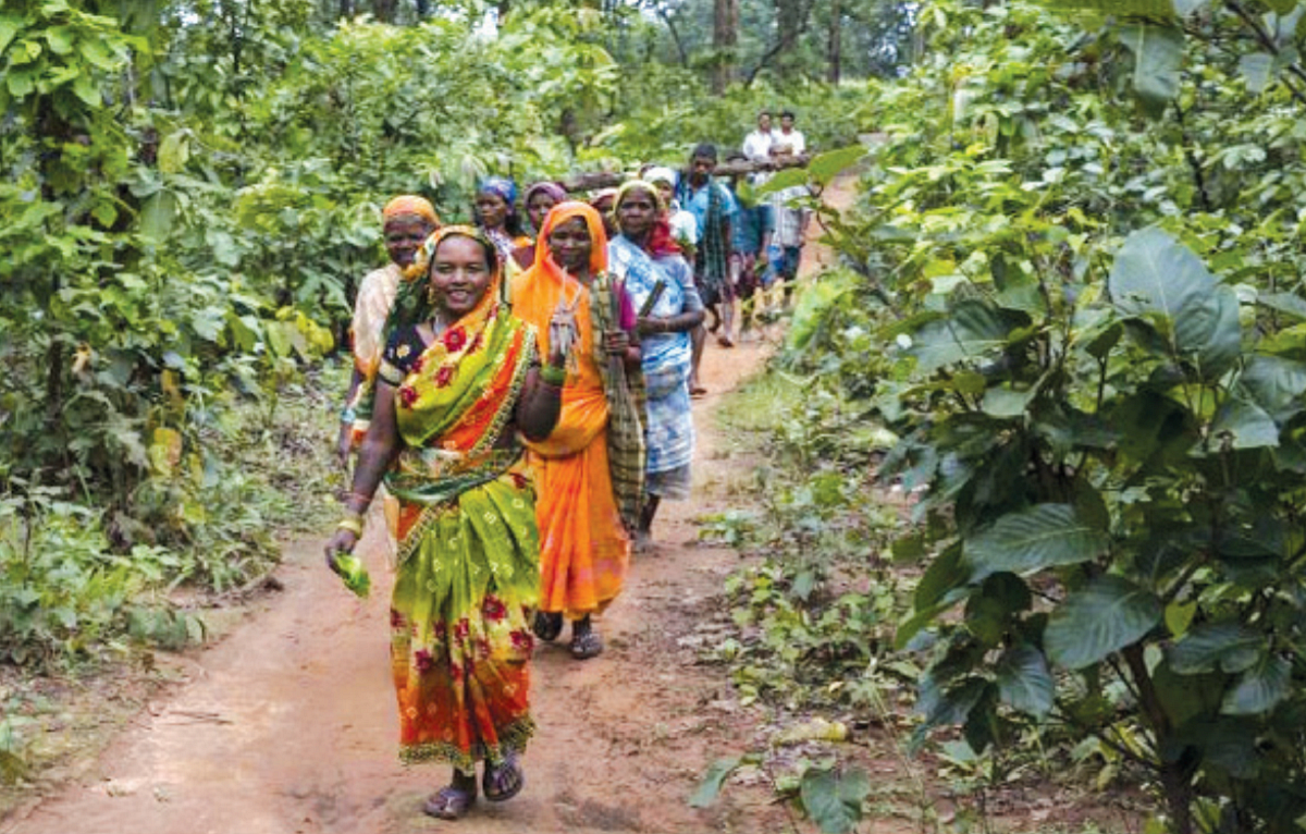 Have 'Rights' been finally granted to tribes and 'Traditional Forest Dwellers'?