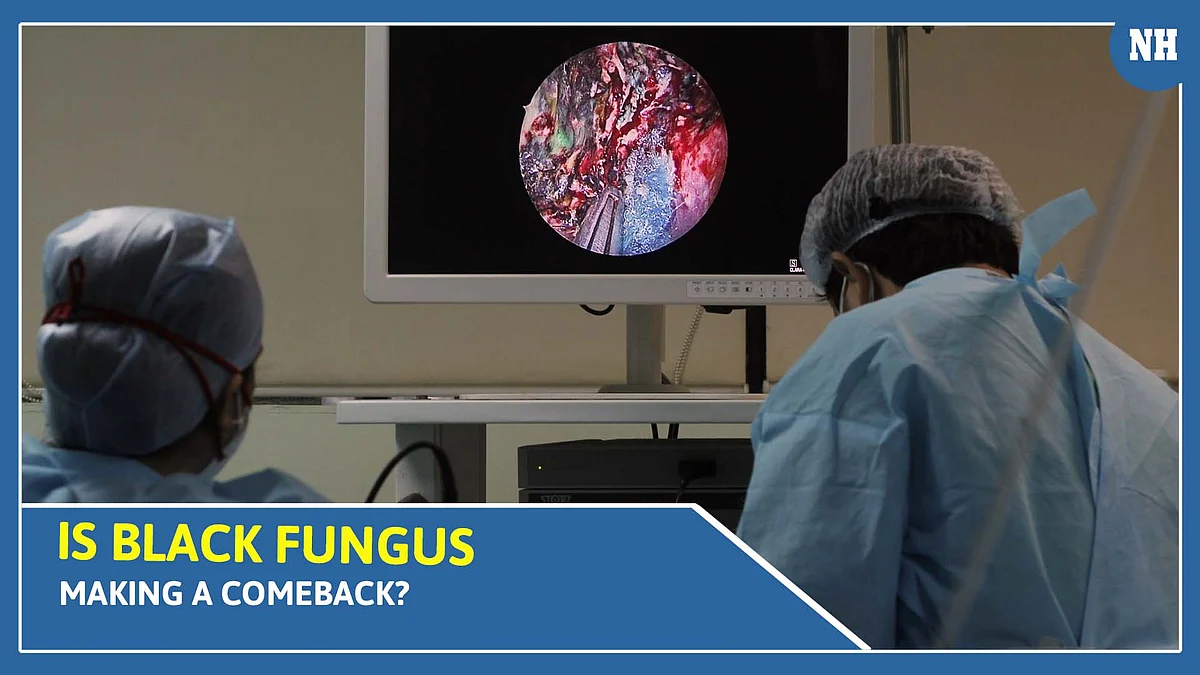 Is Black Fungus making a comeback?