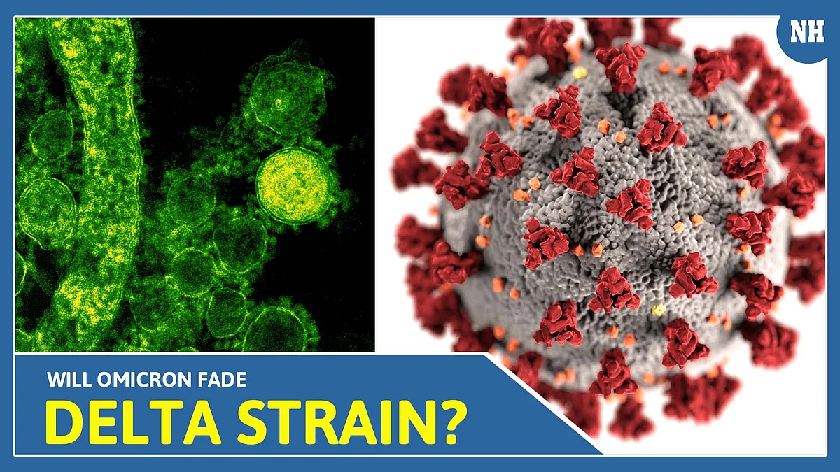 Will Omicron fade Delta strain? 