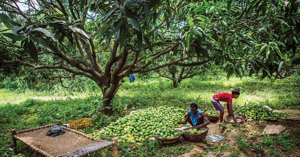 Voterspeak: The Government failed in UP on every front barring communal polarisation 