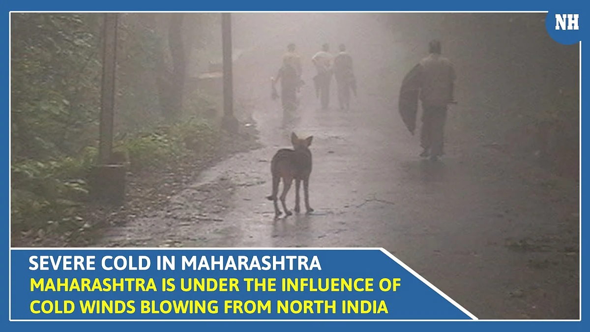 Maharashtra is under the influence of cold winds blowing from North India 