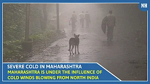 Maharashtra is under the influence of cold winds blowing from North India