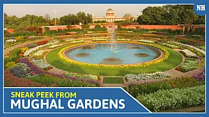 Sneak peek from Mughal Gardens: Here is how to visit Mughal Garden