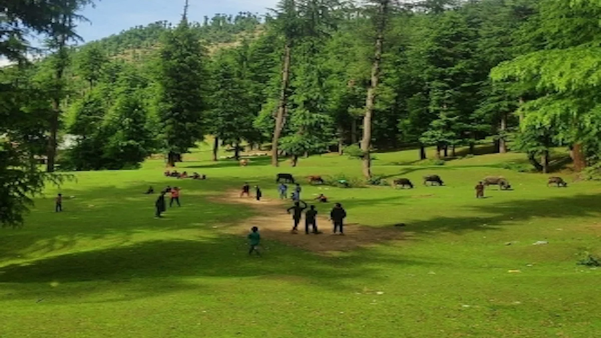 Weather to remain pleasant and sunny in J&K, Ladakh
