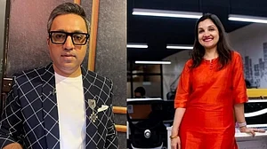 Ashneer hand in gloves with wife in grossly abusing company money: BharatPe