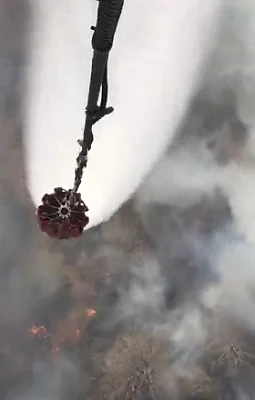 Sariska Tiger Reserve fire under control, says Rajasthan CM