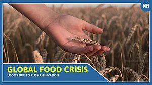 Wheat crisis looms in world due to Russia-Ukraine conflict: Shashi Tharoor