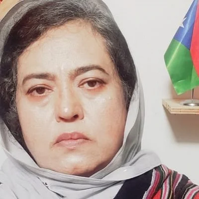 "Government of Balochistan in exile established"