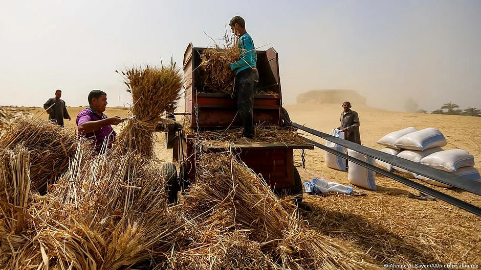 Wheat has turned into a strategic commodity following Russia-Ukraine war, Sri Lanka crisis