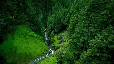 Changes in vegetation shaped global temperatures over last 10 thousand years