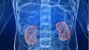 How Covid directly infects, causes damage to human kidney cells