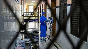 Representative Image (Photo Courtesy: social media)