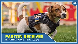 Why four-legged little warrior receives Presidential award from Zelensky?