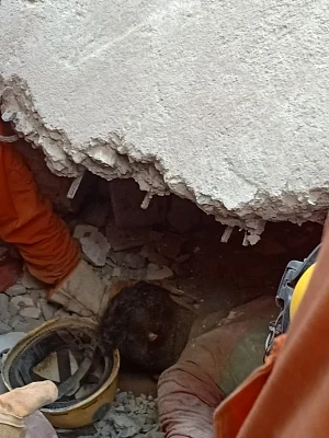 Houses collapse in Delhi after heavy rain