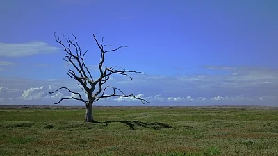 Climate Change: Greenhouse gas, sea level rise set new records in 2021