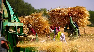 India and current global food scenario