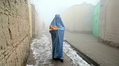 Int'l community slams new Taliban rules over women's face covering