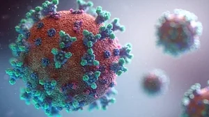 Food allergy may cut risk of Covid infection by 50%: Study